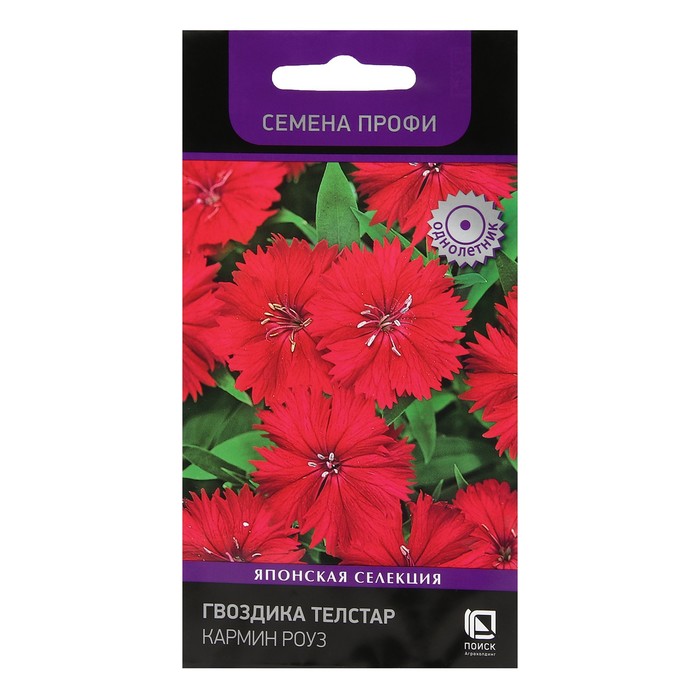 Семена цветов Гвоздика Телстар "Кармин Роуз", 10 шт. - Фото 1