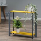 Подставка напольная для цветов «Клик Мебель. Флора», 2 полки, 490×590×230 мм, цвет серо - жёлтый - Фото 4