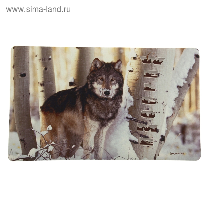 Коврик влаговпитывающий придверный Доляна «Волк», 45×75 см - Фото 1