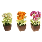 композиция в горшке 23*9 см ромашка яркая - Фото 2