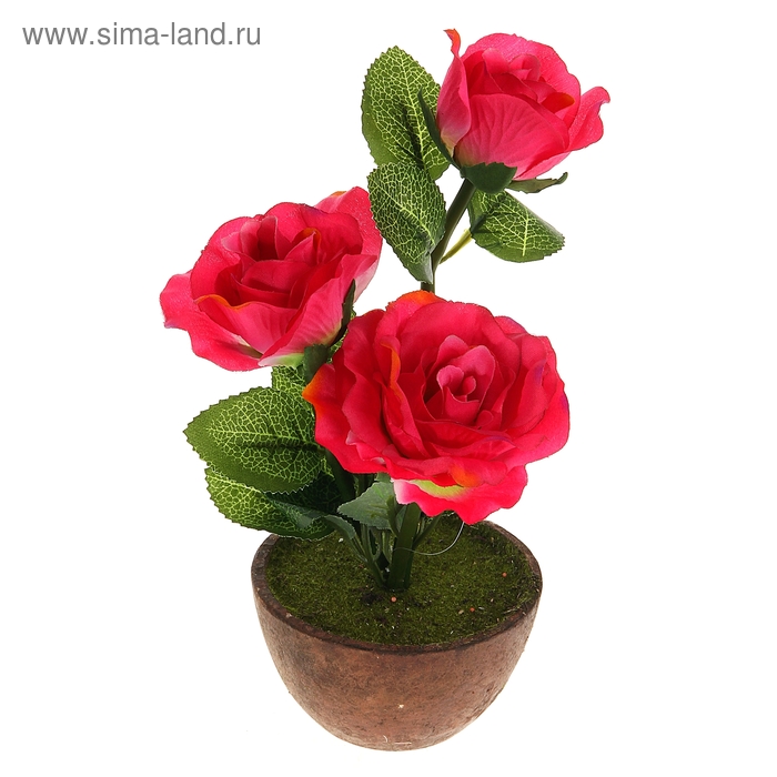композиция в горшке 23*10 см розы - Фото 1