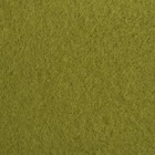 Плед "Экономь и Я" зелёный 150х130 см, 160 г/м2, 100% п/э - Фото 2