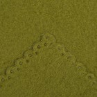 Плед «Экономь и Я» зелёный 150×180 см, 160 г/м², 100% п/э - Фото 3