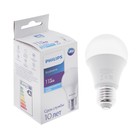 Лампа светодиодная Philips Ecohome Bulb 865, E27, 11 Вт, 6500 К, 950 Лм, груша - фото 9553581
