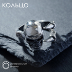 Кольцо «Перстень» череп, цвет чернёное серебро, безразмерное - фото 6257054
