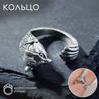 Кольцо «Перстень» орёл, цвет чернёное серебро, безразмерное - фото 21475391
