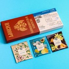 Чай подарочный «Паспорт» 3 вкуса, 12 пакетиков x 1,8 г. - Фото 1