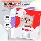 Набор тетрадей 12 листов в клетку Calligrata «Домашние животные», обложка мелованный картон, 10 шт. - Фото 1