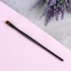 Кисть для макияжа, 17 см, цвет чёрный - Фото 1