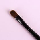 Кисть для макияжа, 17 см, цвет чёрный - Фото 3