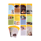 Викторина «Кошки. Суперквиз!», 7+, 48 карточек - фото 23977233