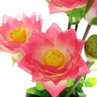 композиция в горшке тюльпан 24*9 см лотос - Фото 3