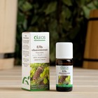 Эфирное масло "Ель" 10 мл Oleos - Фото 1