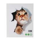 Наклейка 3Д интерьерная Кошка 25*23см - Фото 2