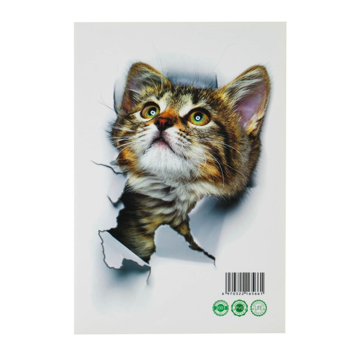 Наклейка 3Д интерьерная Кошка 25*17см - фото 1886765520
