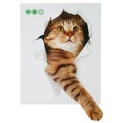 Наклейка 3Д интерьерная Кошка 25*20см - фото 1249026