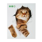 Наклейка 3Д интерьерная Кошка 25*20см - Фото 2