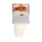 Карнавальная борода «Дед Мороз» с бровями - фото 109408417