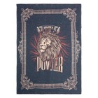 Набор подарочный "Настоящему мужчине" плед, носки, кружка - фото 806015904