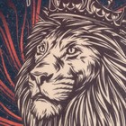 Набор подарочный "Настоящему мужчине" плед, носки, кружка - фото 806015905