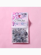 Стразы термоклеевые «Круг», стеклянные, d=4.8 мм, 100 шт., цвет серебряный - Фото 5