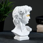 Ваза «Бюст Давида», 16×9×10 см, гипс, белая - Фото 2