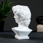 Ваза «Бюст Давида», 16×9×10 см, гипс, белая - Фото 3