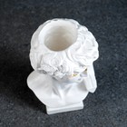 Ваза «Бюст Давида», 16×9×10 см, гипс, белая - Фото 4