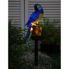 Садовый светильник на солнечной батарее «Синий Ара», 45 см, 1 LED, свечение тёплое белое - фото 4293993