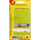 Семена Тыква крупноплодная "Цукат", ц/п, 1 г - Фото 2