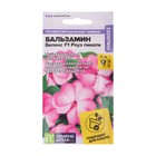 Семена цветов Бальзамин «Беленс роуз пикоти», 4 шт., «Семена Алтая» - Фото 1