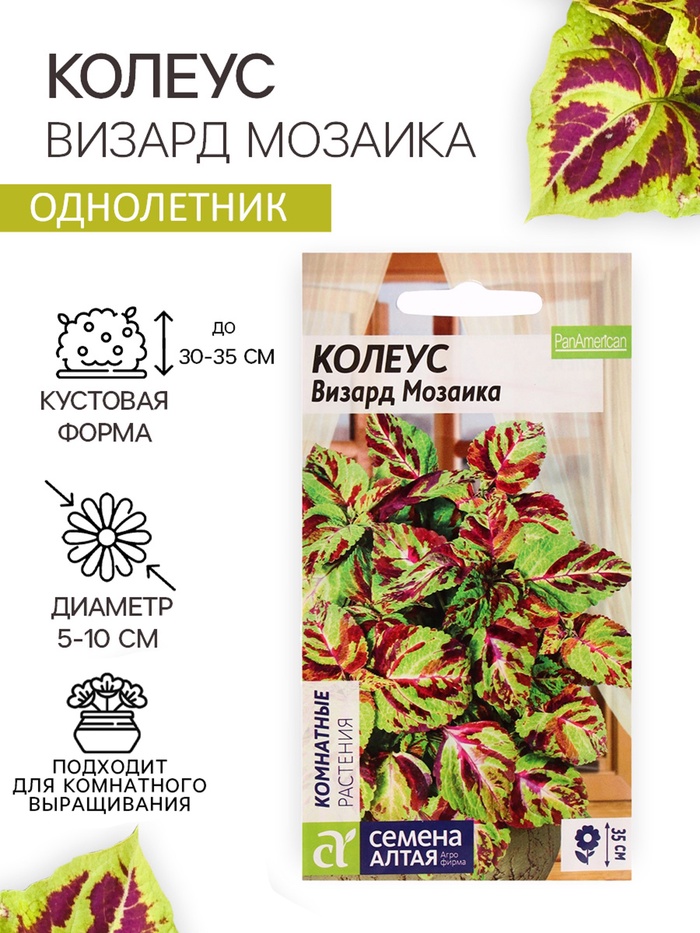 Семена цветов Колеус «Визард», мозаика, «Семена Алтая», цветной пакет, 5 шт. - Фото 1