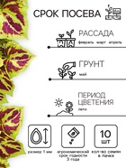 Семена цветов Колеус «Визард», мозаика, «Семена Алтая», цветной пакет, 5 шт. - Фото 2