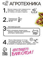 Семена цветов Колеус «Визард», мозаика, «Семена Алтая», цветной пакет, 5 шт. - Фото 5