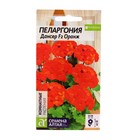 Семена цветов Пеларгония "Дансер", оранж, зональная, Сем. Алт, ц/п, 4 шт - фото 319885633