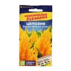 Семена цветов Целозия "Кимоно", желтый факел, перистая, Сем. Алт, ц/п, 10 шт - Фото 1