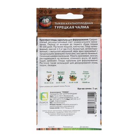 Семена Тыква крупноплодная "Турецкая чалма", 5 шт. (комплект 2 шт)
