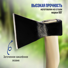 Топор кованый ТУНДРА, деревянное топорище Б3, 1200 г, порошковое покрытие - Фото 2