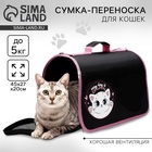 Сумка - переноска раскладная CATurday! 45х27х20 см 7041510 - фото 10853429