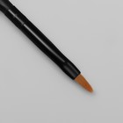 Кисть-дотс для дизайна ногтей, лепесток, 15 см, цвет матовый чёрный - Фото 3