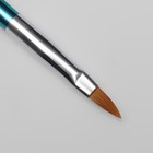 Кисть для наращивания и дизайна ногтей, двусторонняя, лепесток/точечная, 18.2 см, разноцветная - Фото 3