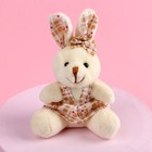 Мягкая игрушка «Милая зайка», зайчик, цвета МИКС - фото 24578714