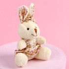 Мягкая игрушка «Милая зайка», зайчик, цвета МИКС - фото 24578715