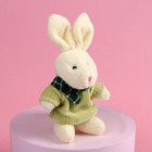 Мягкая игрушка «Очаровательная зайка», 15 см., цвет МИКС - Фото 5