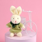 Мягкая игрушка «Очаровательная зайка», 15 см., цвет МИКС - Фото 7