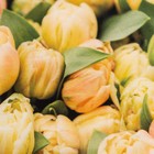 Полотенце «Этель. 8 Марта», 40×73 см, 100% хлопок, саржа 190 г/м² - Фото 3