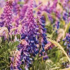 Полотенце «Этель» Любимая бабушка 40×73 см, 100% хлопок, саржа 190 г/м² - Фото 3