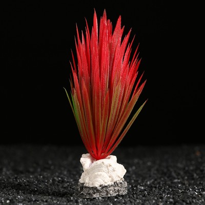 Растение искусственное аквариумное на подставке с ракушкой, 7 х 4,5 х 13,5 см, красное