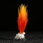 Растение искусственное аквариумное на подставке с ракушкой, 7 х 4,5 х 13,5 см, оранжевое - фото 25415799