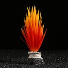 Растение искусственное аквариумное на подставке с ракушкой, 7 х 4,5 х 13,5 см, оранжевое - фото 25415800